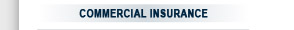 Commercial Insurance